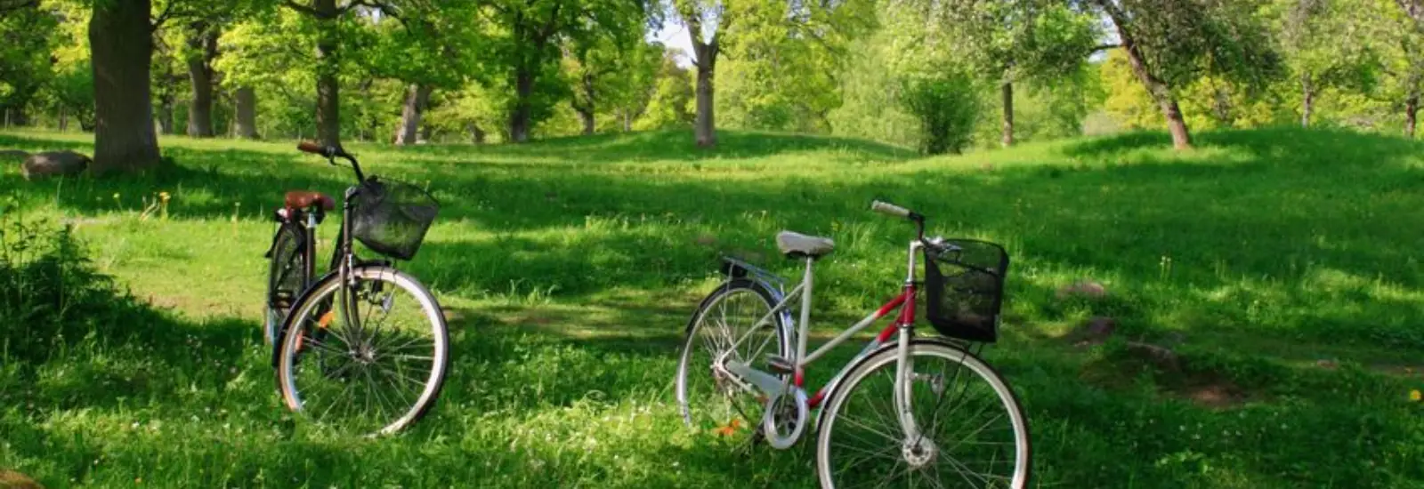 Double Queen Room at Country Nights Inn